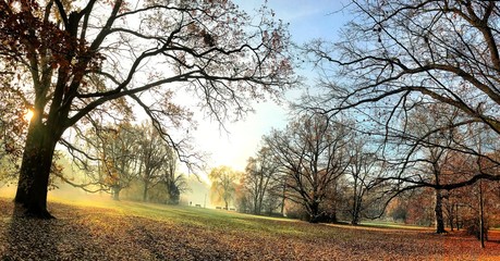 Autumnal park