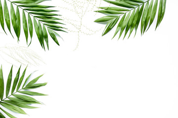 Obraz premium green palm leaf branches on white background. flat lay, top view