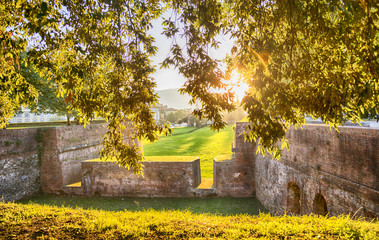  Medieval fortress wall in Lucca , Italy - obrazy, fototapety, plakaty