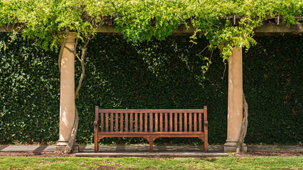 Wooden vintage bench in garden