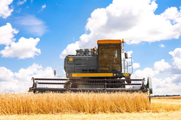 Combine machine is harvesting oats on farm field. combine harvester working on a wheat field. Combine harvester cuts the field of mature ripe yellow wheat