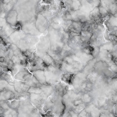 Monochromatic Marble Texture - Silver and Gray Veined Marble