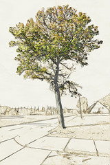 Creative Illustration of an Old Tree in front of wide field.