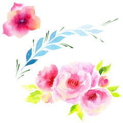 Wildflower eustoma flower in a watercolor style isolated. Full name of the plant: eustoma, marigolds, tagetes. Aquarelle wild flower for background, texture, wrapper pattern, frame or border.