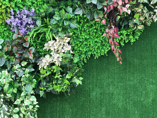 Beautiful artificial plant wall background