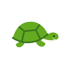 Turtle Vector Icon