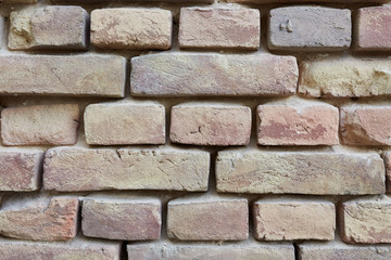 Old brick wall is an interesting background. 