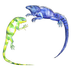 Exotic iguana in a watercolor style isolated. Full name of the reptilian: iguana. Aquarelle exotic reptilian for background, texture, wrapper pattern or tattoo.
