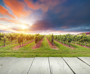 spring landscape of green tuscany and table place texture