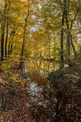 Fototapeta premium Kasteel Ruurlo, kasteeltuin