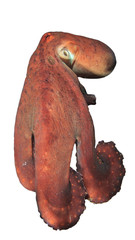 Big Red Octopus isolated on white background