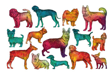 Colorful dogs set. Vector illustration