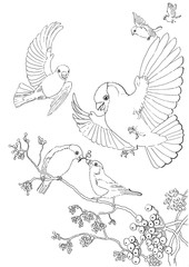 Hand drawn illustration of six happy bullfinches and mountain ash branches with berries black and white