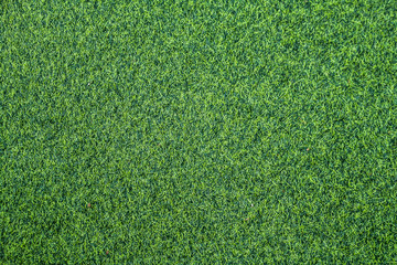 Fototapeta premium Artificial turf green floor background.