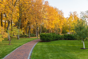 beautiful autumn park at sunny weather. a footpath in an autumn park