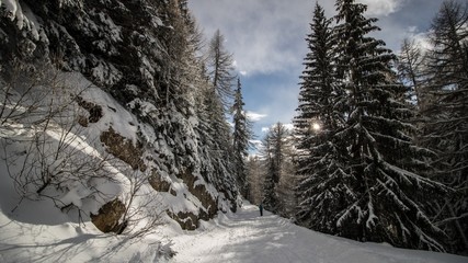 Winter in den schweizer Alpen