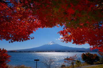 世界遺産　富士山の秋