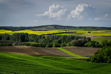 Rural landscape in summer, Hungary. Panoramic view of country fields, hills in background.