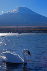 世界遺産　富士山の秋