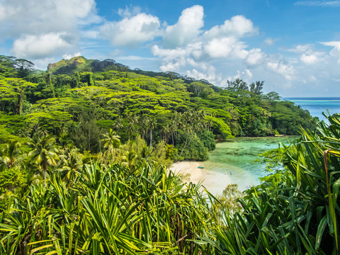 Plage paradisiaque