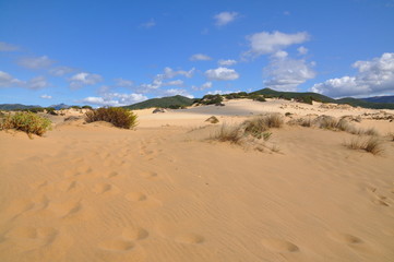 Fototapeta na wymiar Dune di Piscinas