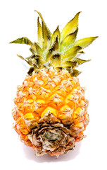 One whole pineapple isolated on white background.