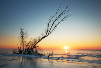Fototapeta na wymiar Winter landscape with snag on the frozen lake near the shore