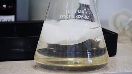 Laboratory glass Erlenmeyer conical flask filled with chemical white liquid for a chemistry experiment in a science research lab