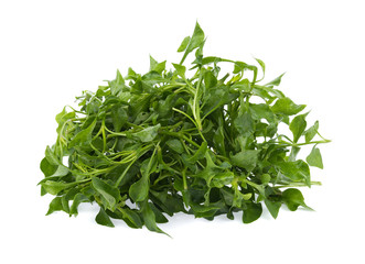 Fresh Watercress isolated on white background