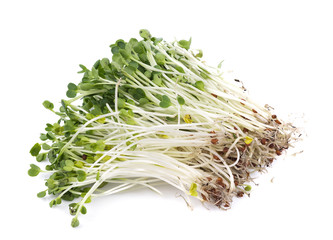 kaiware sprout, japanese vegetable or watercress on white background