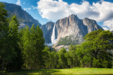 Yosemite National Park Valley - obrazy, fototapety, plakaty