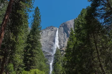 Fototapeten Upper And Lower Falls in Yosemite National Park  © Michael