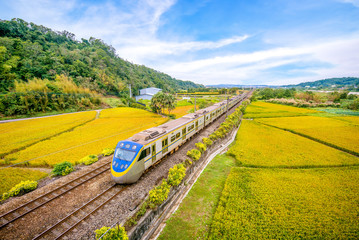 train on the field in miaoli, taiwan
