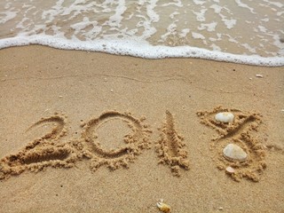 Happy New year 2018 with the waves beat at the beach and shell fragments.