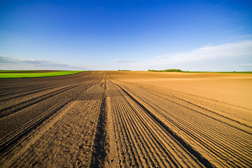 Fototapeta na wymiar Agricultural landscape, arable crop field. Arable land is the land under temporary agricultural crops capable of being ploughed and used to grow crops.