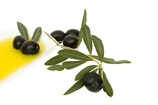 organic olive oil and black olives on a white background 