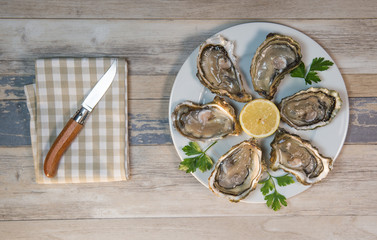 Fresh oysters white plate  and lemon on wooden desk