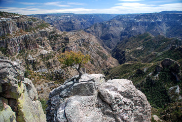 Landscape in Barranca del Cobre