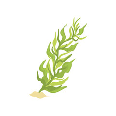 Illustration of green seaweed in cartoon flat design. Aquarium design element. Coral icon. © topvectors
