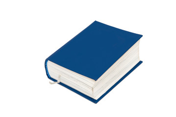 small blue book