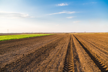 Agricultural landscape, arable crop field. Arable land is the land under temporary agricultural...