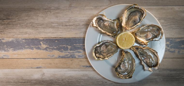 Fresh oysters white plate  and lemon on wooden desk