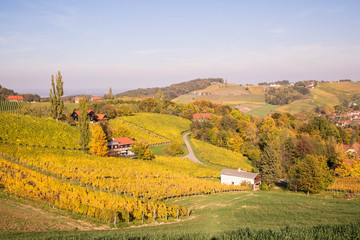 Weinberge in der S&uuml;dsteiermark im Herbst