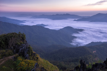The beautiful landscape for seeing the mist at Doi Pha Tang, Chaingrai province is a famous tourist destination in northern Thailand.