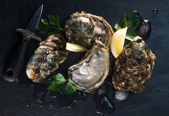 Opened oysters on stone slate plate with lemon and oyster knife