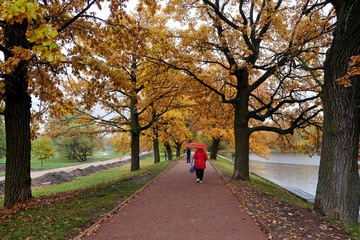 Woman is walking along the alley in the park