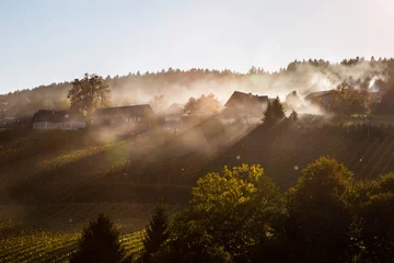 Poster wunderschöne Weinberge der Weststeiermark im Herbst mit Nebelschwaden der Maronibrater © st1909