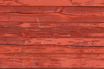 textura madera coso taurino