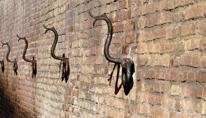 Antike Ringe zum Anbinden von Pferden an der Fassade des Palazzo Pepoli Vecchio