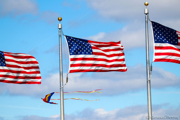 United states Flag